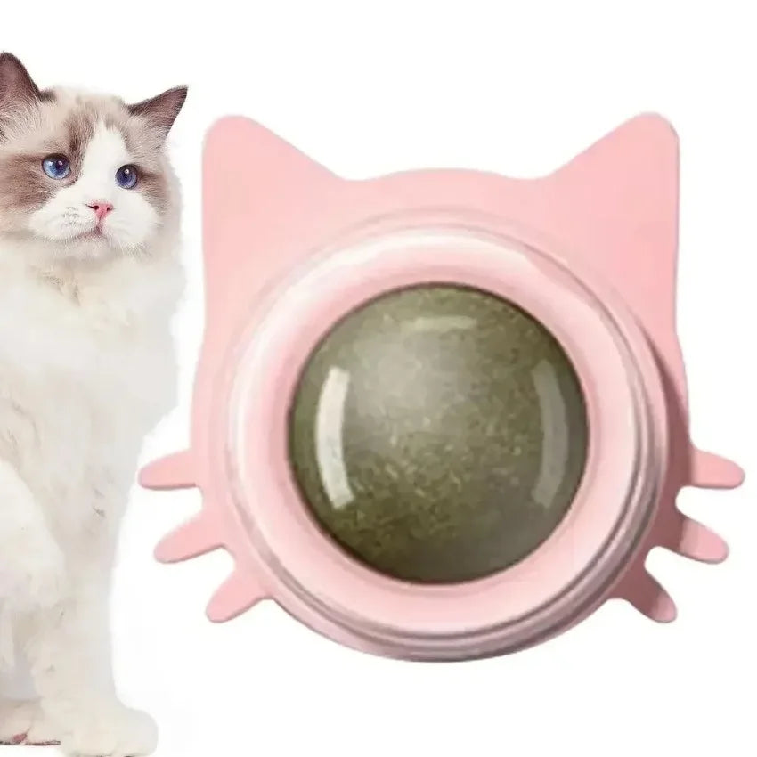 Bolas de Catnip para Gatos Lambíveis Bolas de Catnip para Gatinhos Brincando de Mastigar Limpeza de Dentes Brinquedo para Gatos Pequenos e Médios suprimentos para animais de estimação