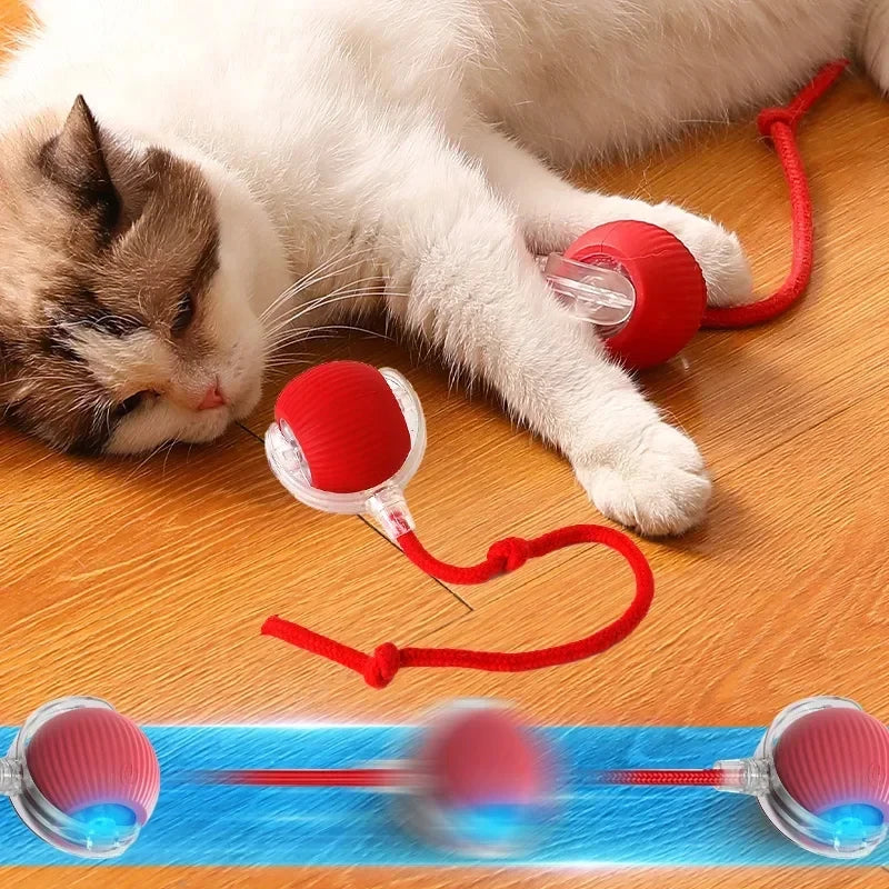 Bola Rolante Elétrica Brinquedos para Gatos/Gatinhos de Estimação Teaser Automático Inteligente Recarregável USB