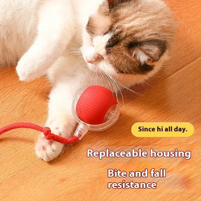 Bola Rolante Elétrica Brinquedos para Gatos/Gatinhos de Estimação Teaser Automático Inteligente Recarregável USB